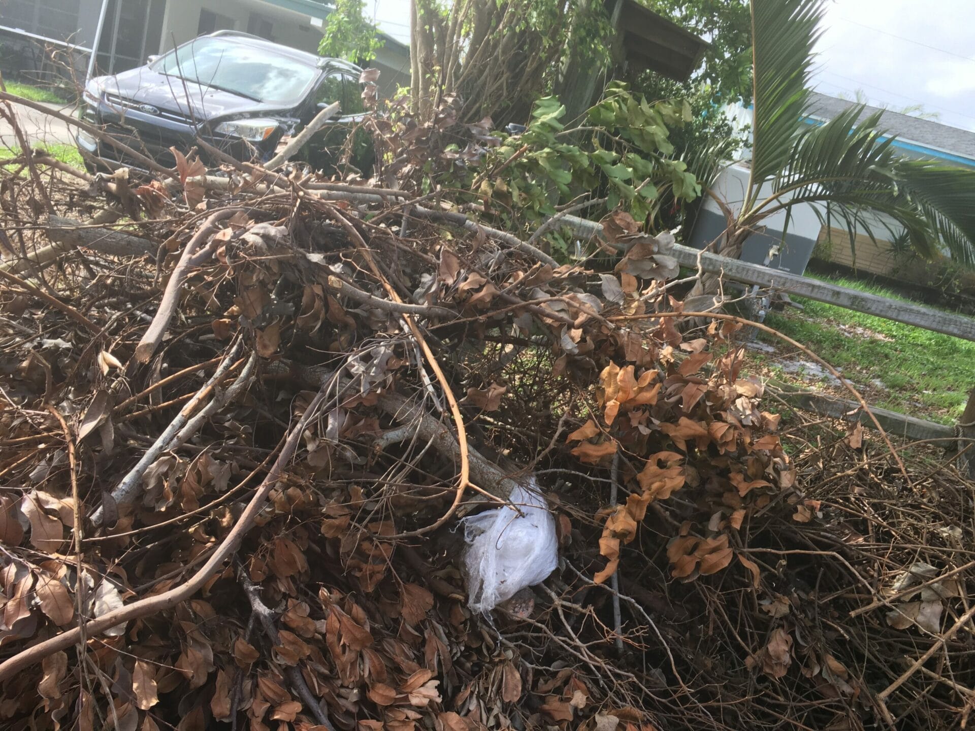 City of Port St. Lucie Hurricane Debris Collection Update - Treasure Coast