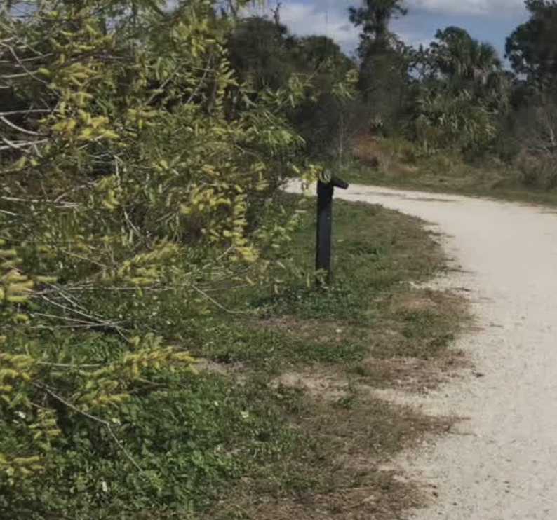 Haney Creek Dog Park