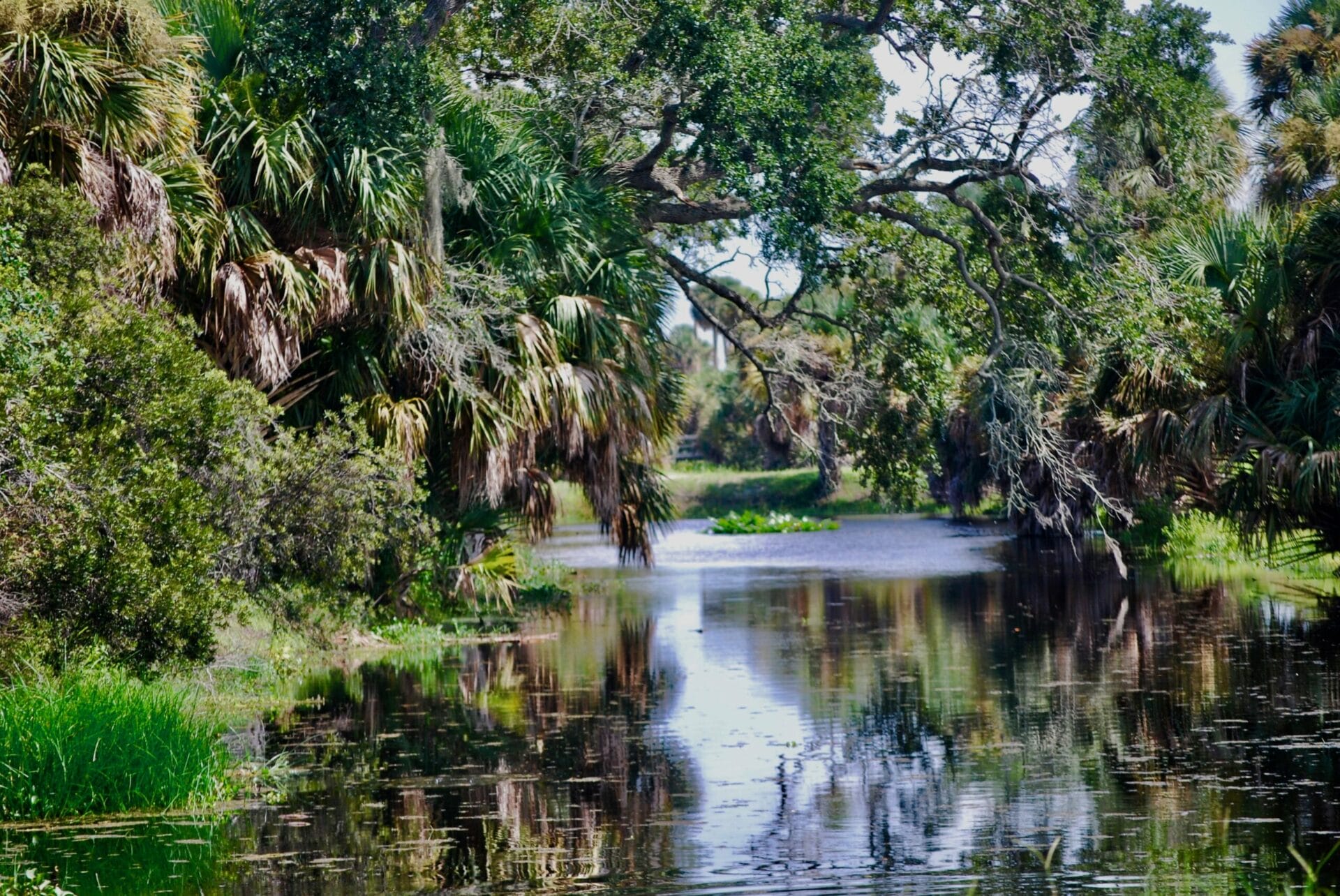 Savannah Preserve 