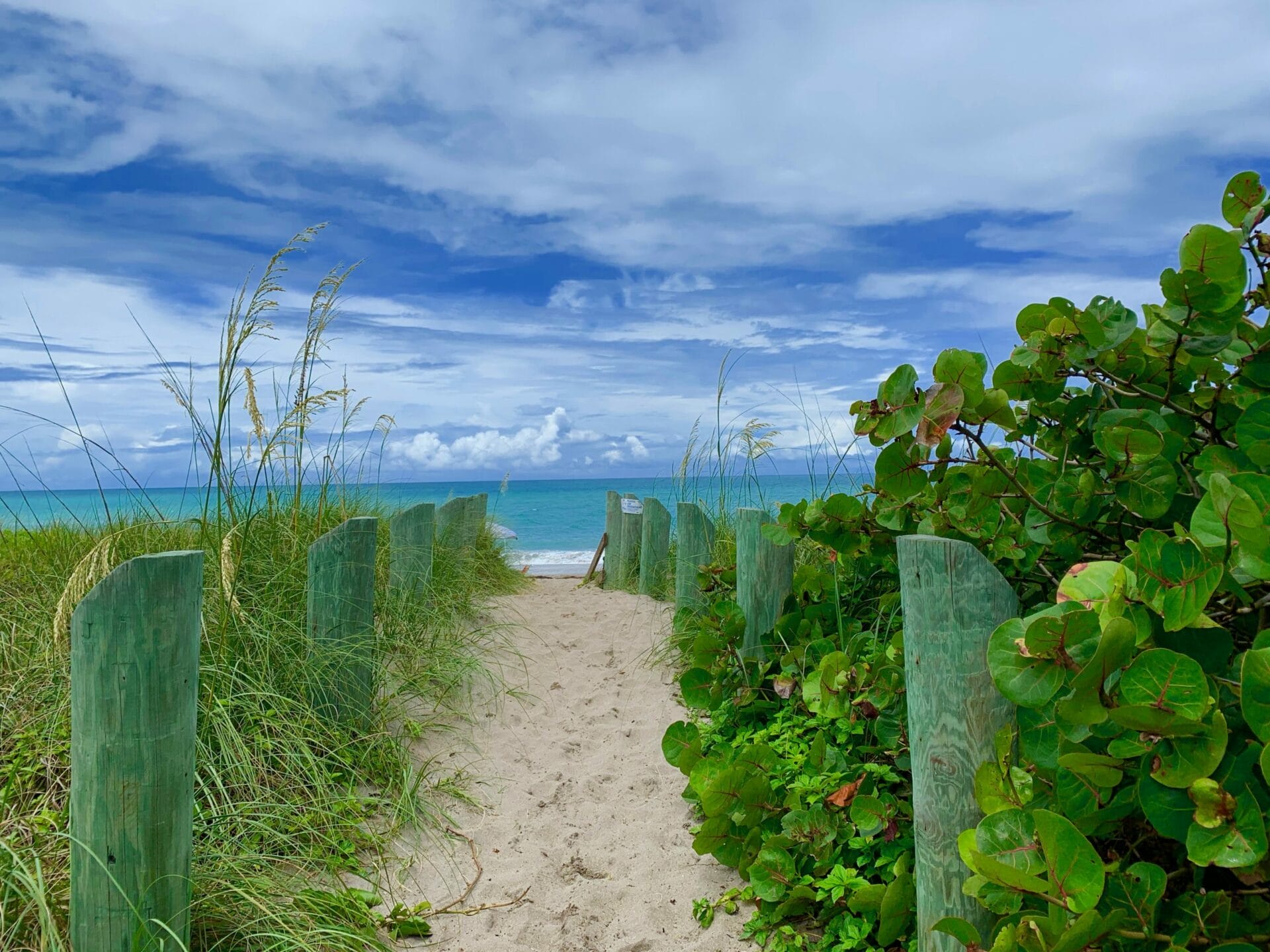 Tiger Shores Beach