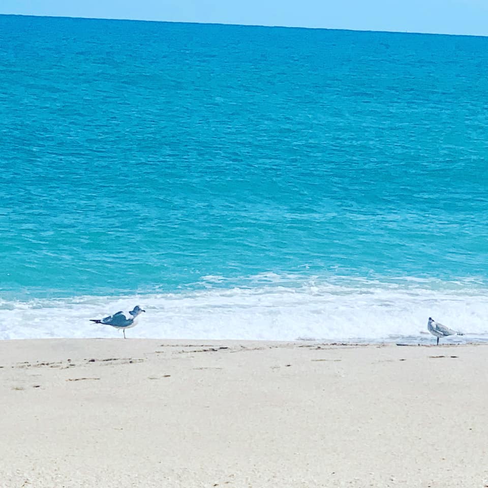 Jensen Beach Park Treasure Coast
