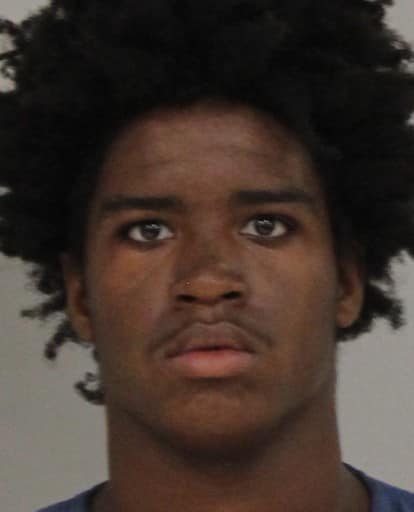 19-year-old new resident goes on crime spree with neighbors