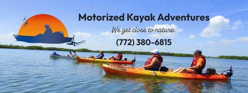 kayak sponsor