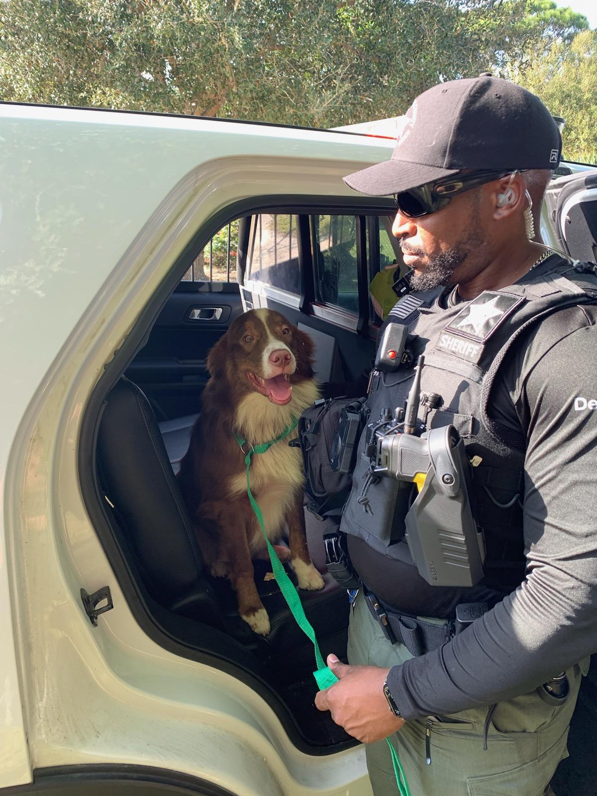 Indian River Deputies rescue 2 dogs from burning house