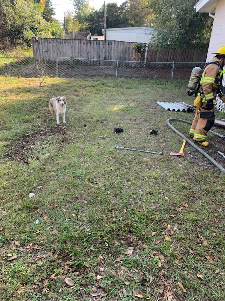 Indian River Deputies rescue 2 dogs from burning house