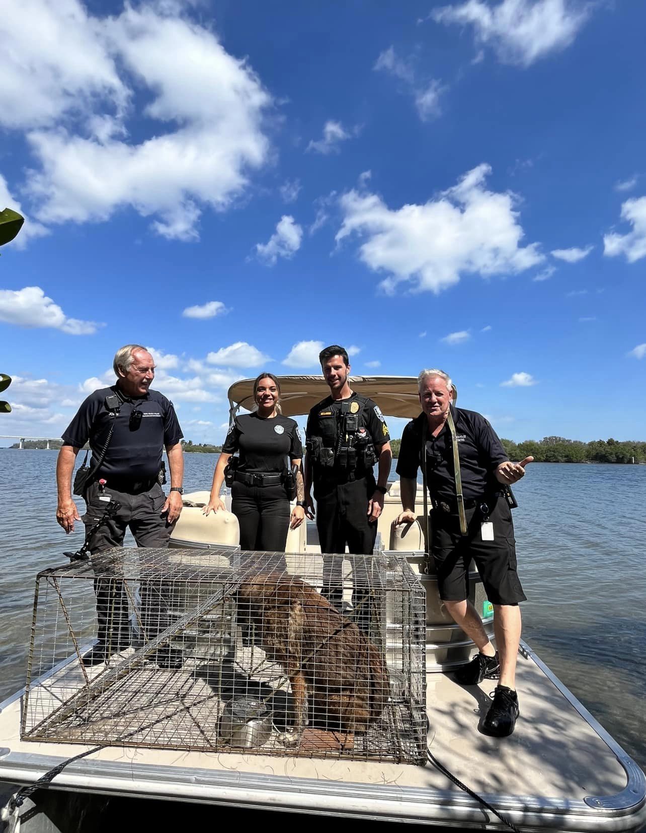 Loose dog  on Memorial Island  captured and brought  to Humane  Society