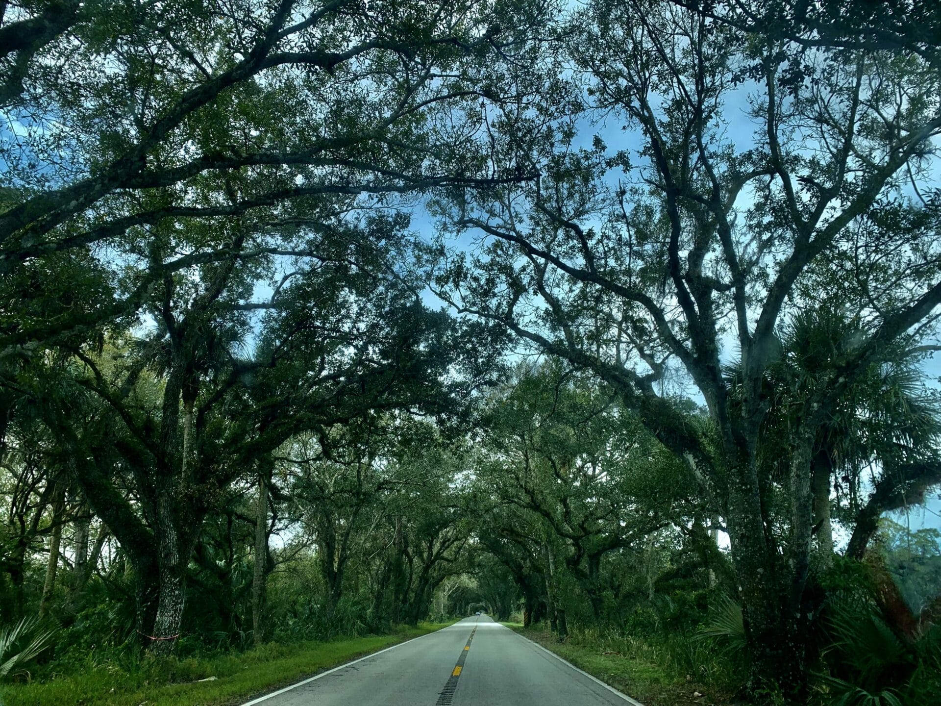 Martin Grade Hwy