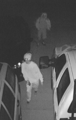 PSL neighborhood hit by car burglars. Please help ID