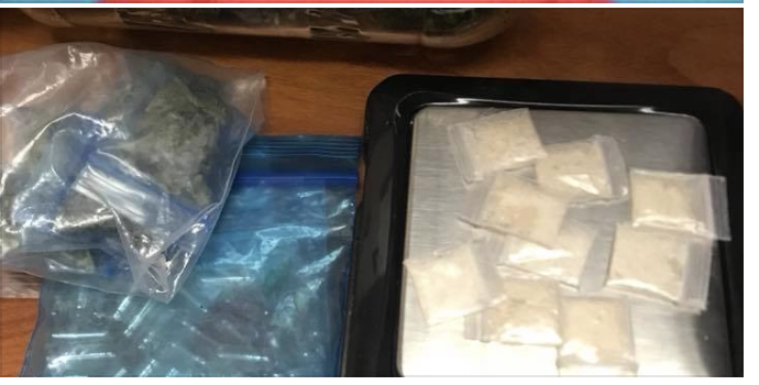 Martin County traffic stop turns into drug bust