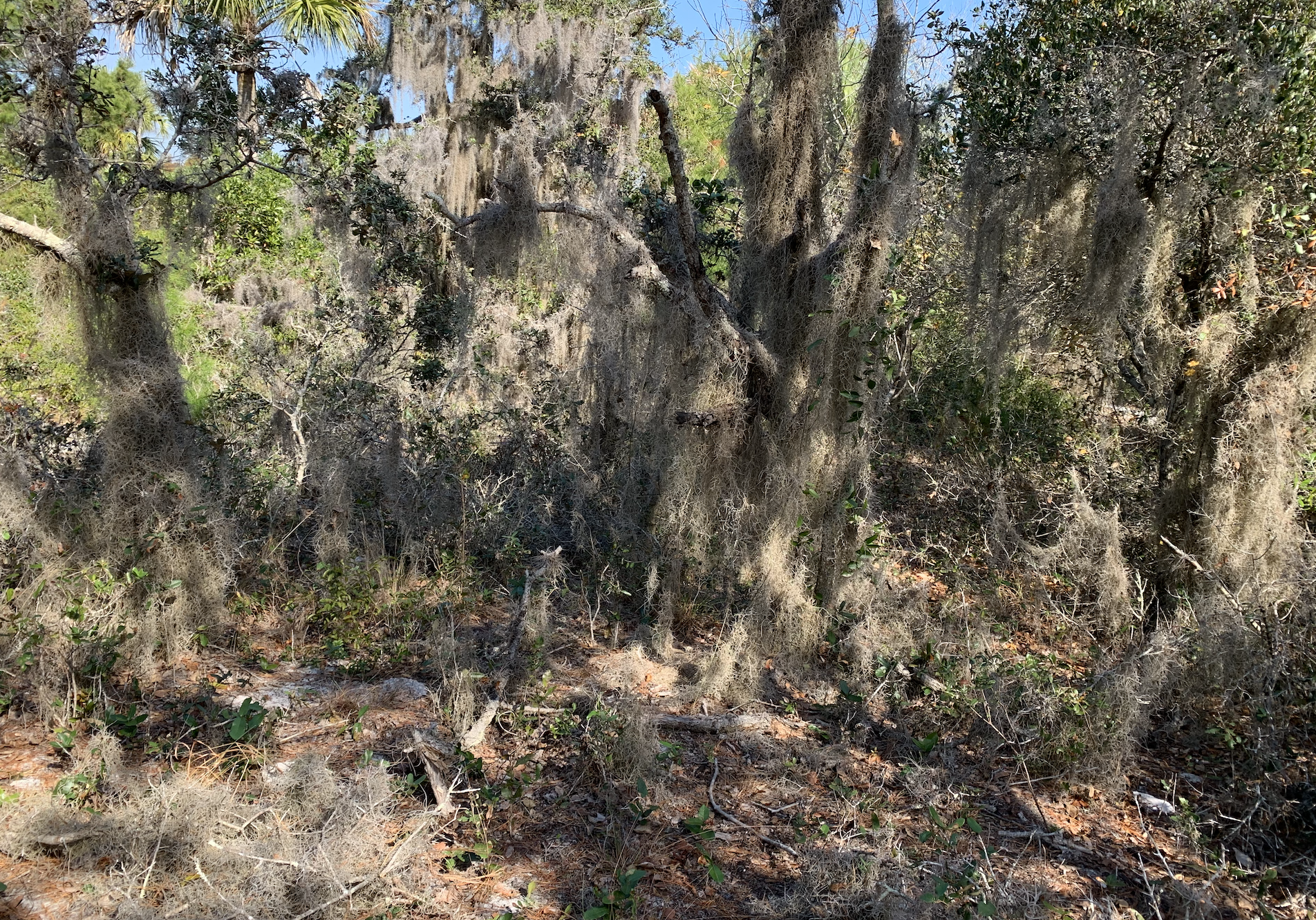 St. Lucie County Closes Out Guided Hikes Program with Four June Events