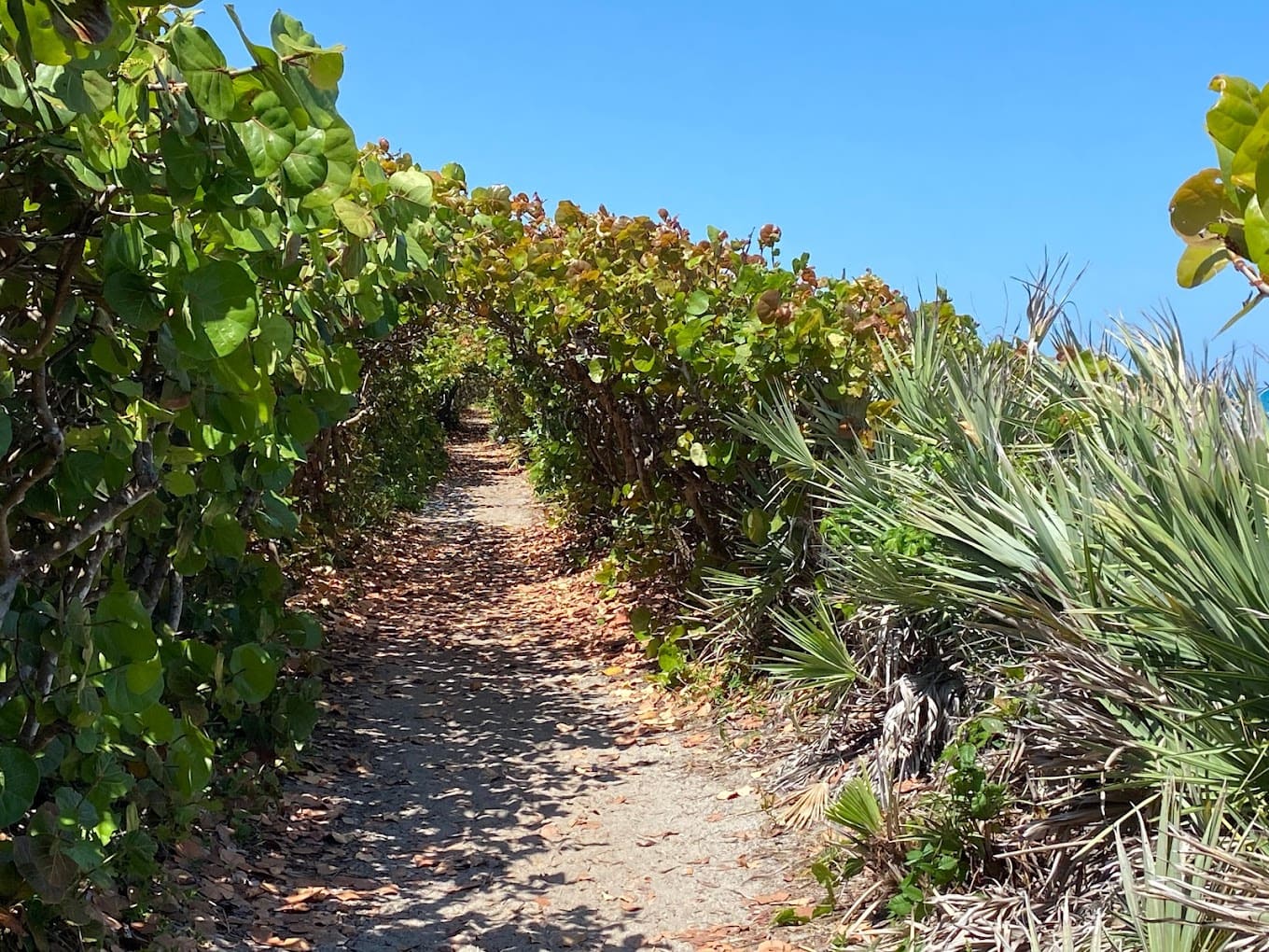 blowing rocks preserve path