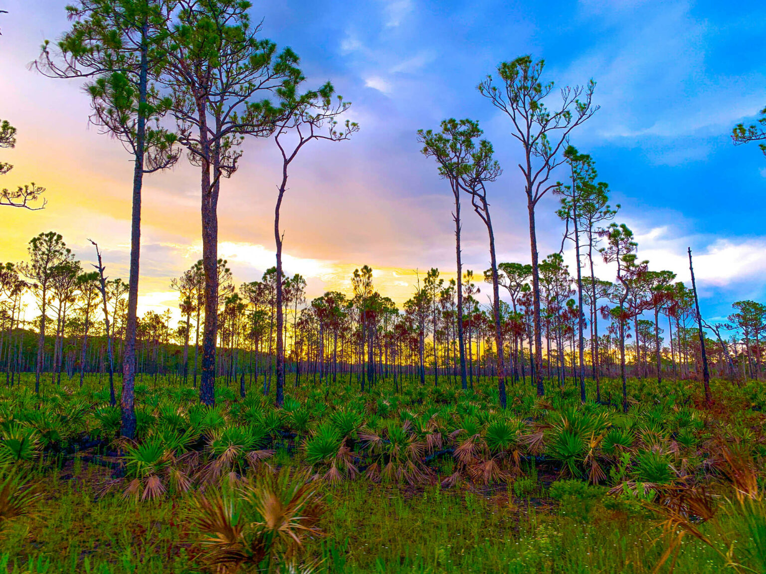 Best State Parks in Florida Map - Jonathan Dickinson State Park 1536x1152 
