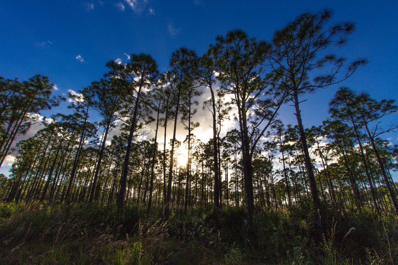 Oxbow Eco-Center - TreasureCoast.com