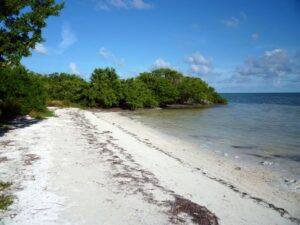 11 Best Nude Beaches in Florida [Full Guide] - Treasure Coast