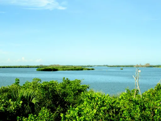 Pelican Island National Wildlife Refuge - Image 01 (March 25, 2026)