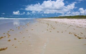 11 Best Nude Beaches in Florida [Full Guide] - Treasure Coast