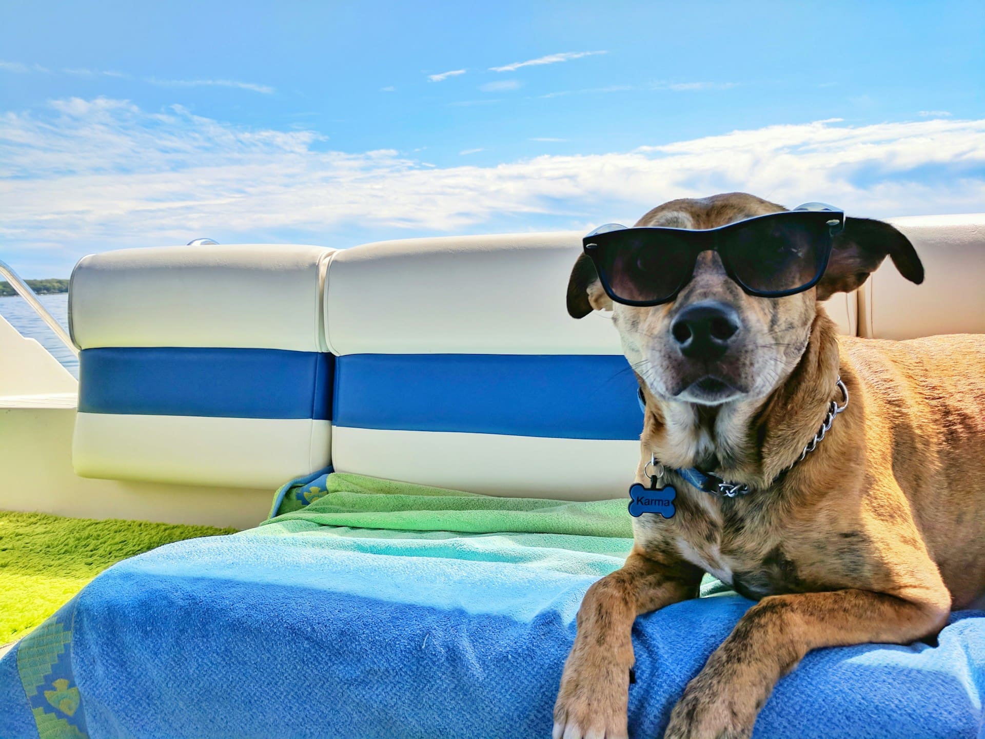 Pet-Friendly Hotels in Vero Beach, Florida