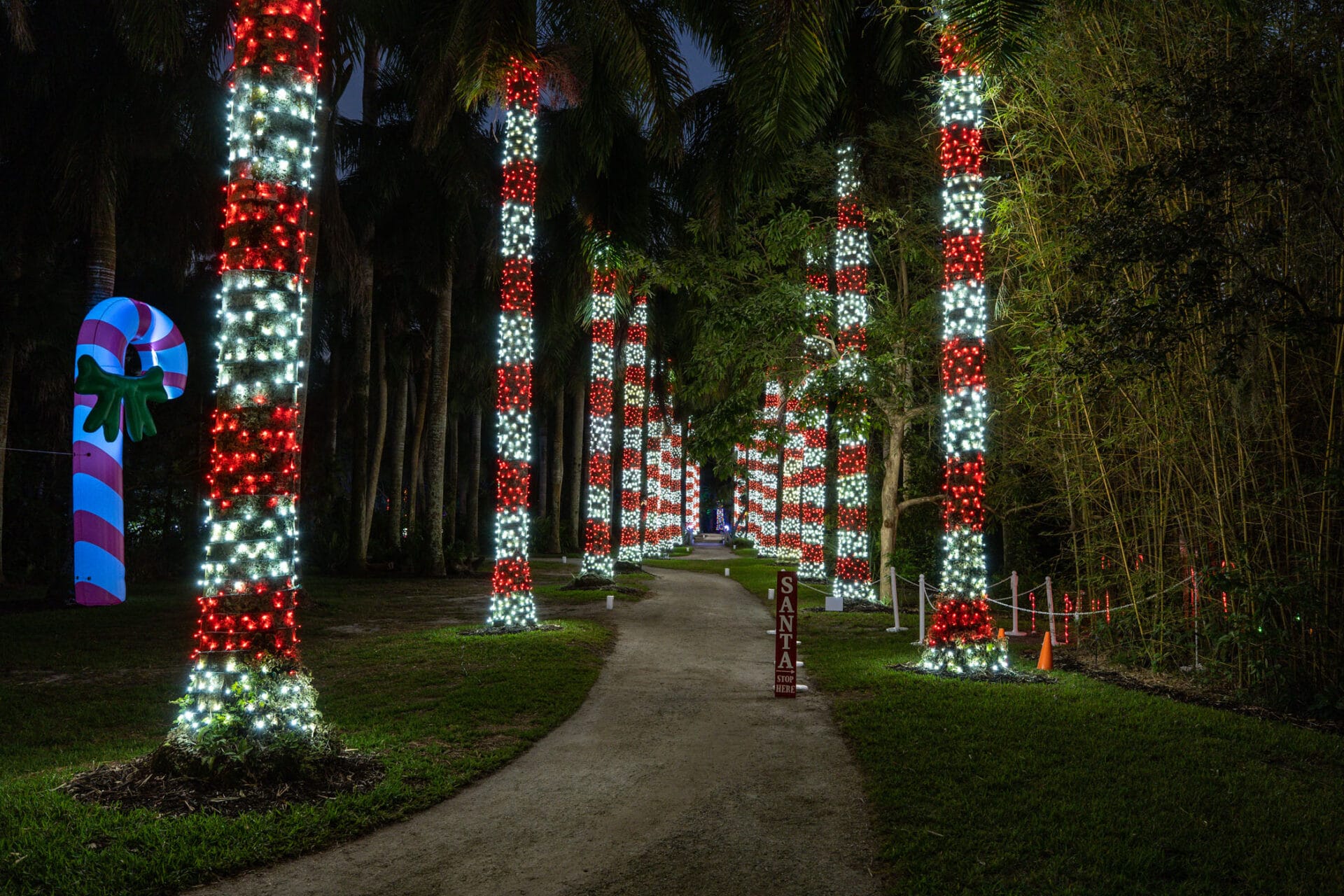 Jungle Lights McKee Botanical Garden Vero Beach