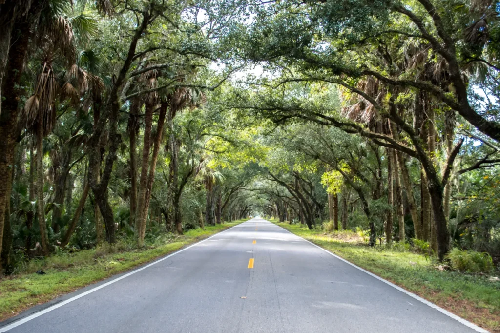 martin grade scenic highway
