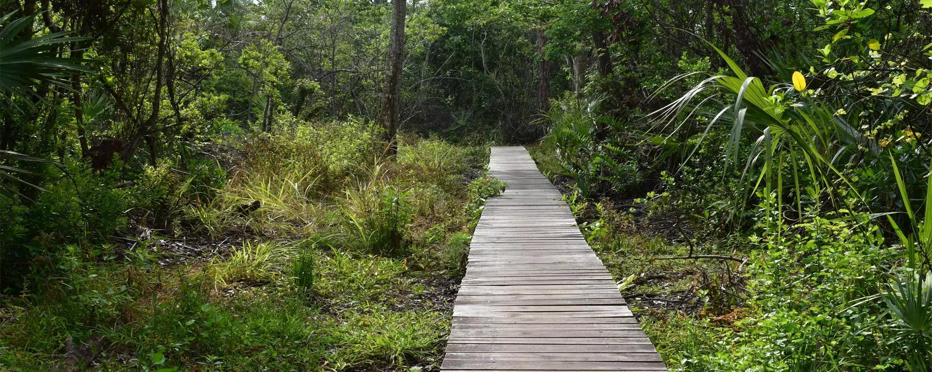 Kiplinger Nature Preserve Stuart FL