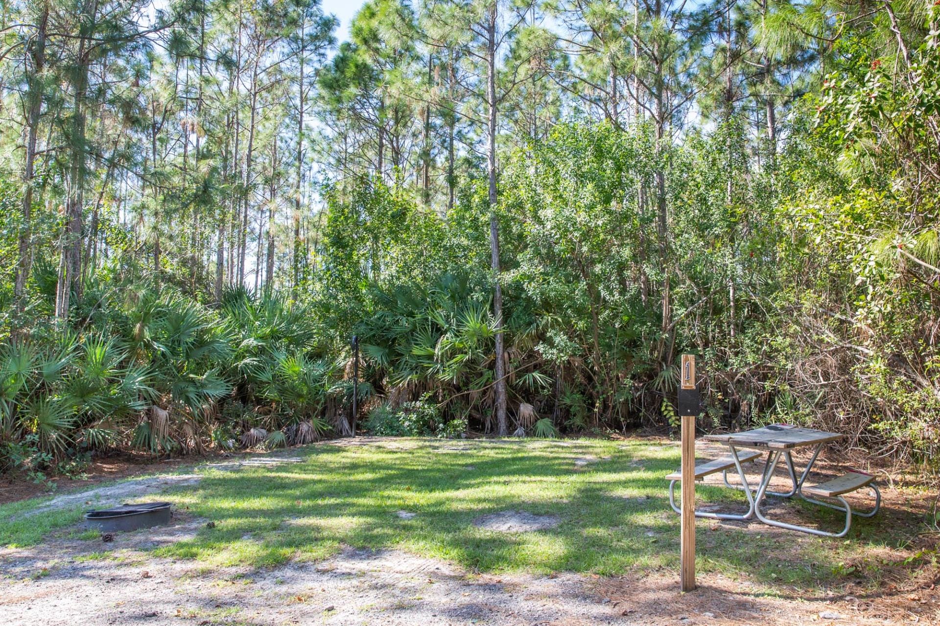 McCarty Ranch Preserve Campsite