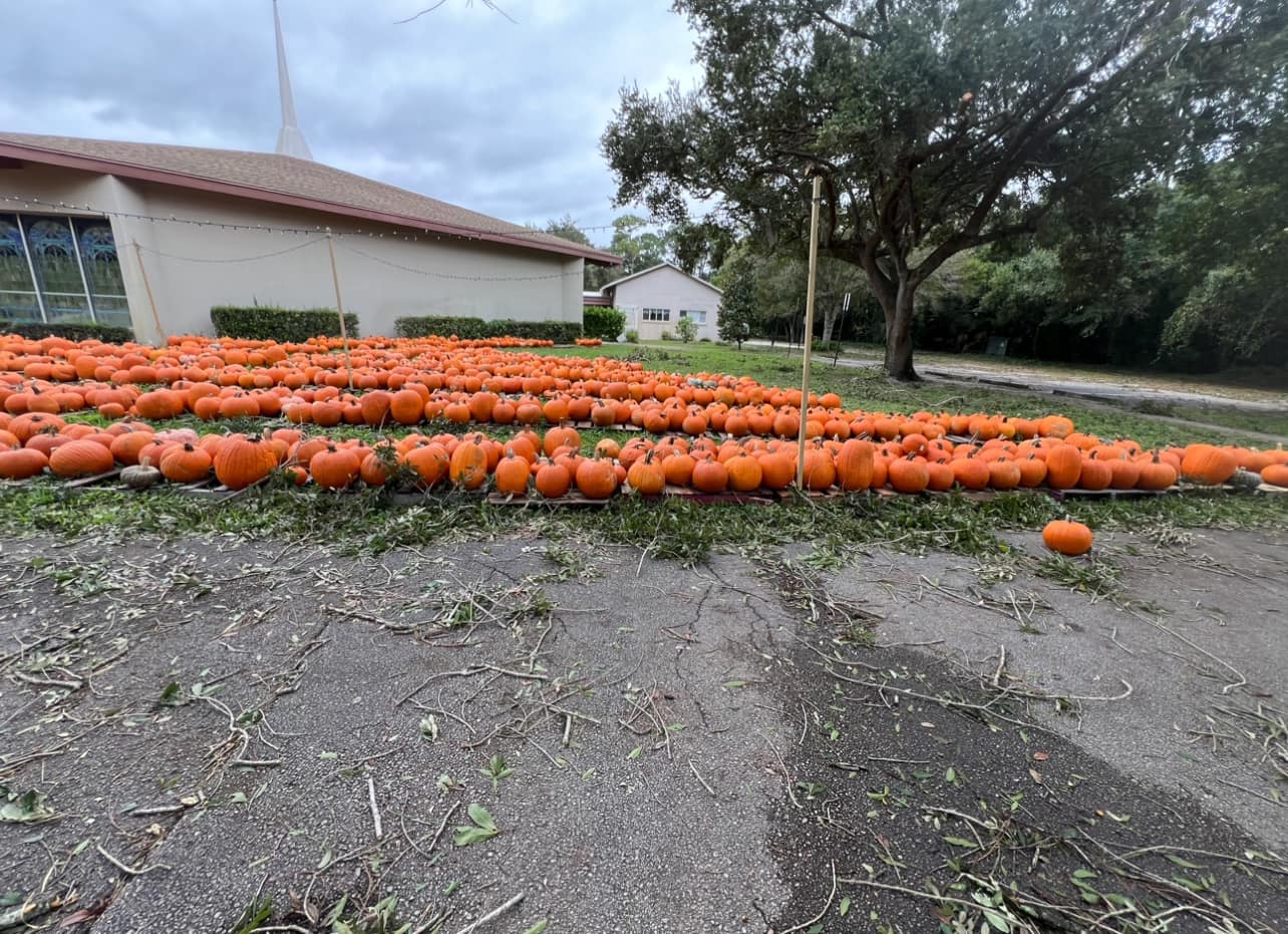 Asbury Umc Vero Beach pumpkin patch