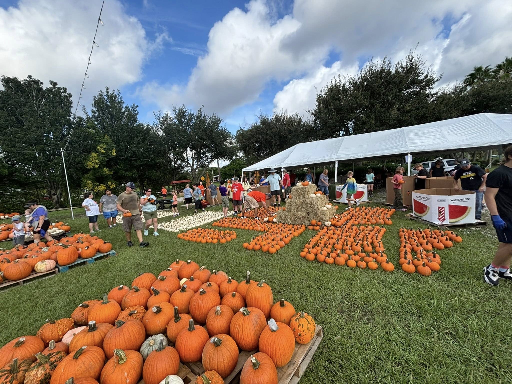 pumpkin patch stuart fl