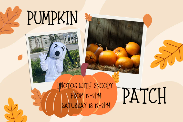 photo snoopy pumpkin patch
