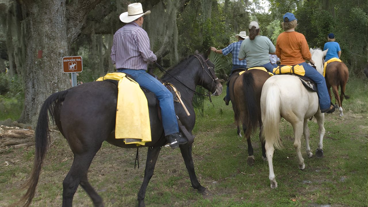 Grassy Island Equestrian and MTB Trail Horse Riding