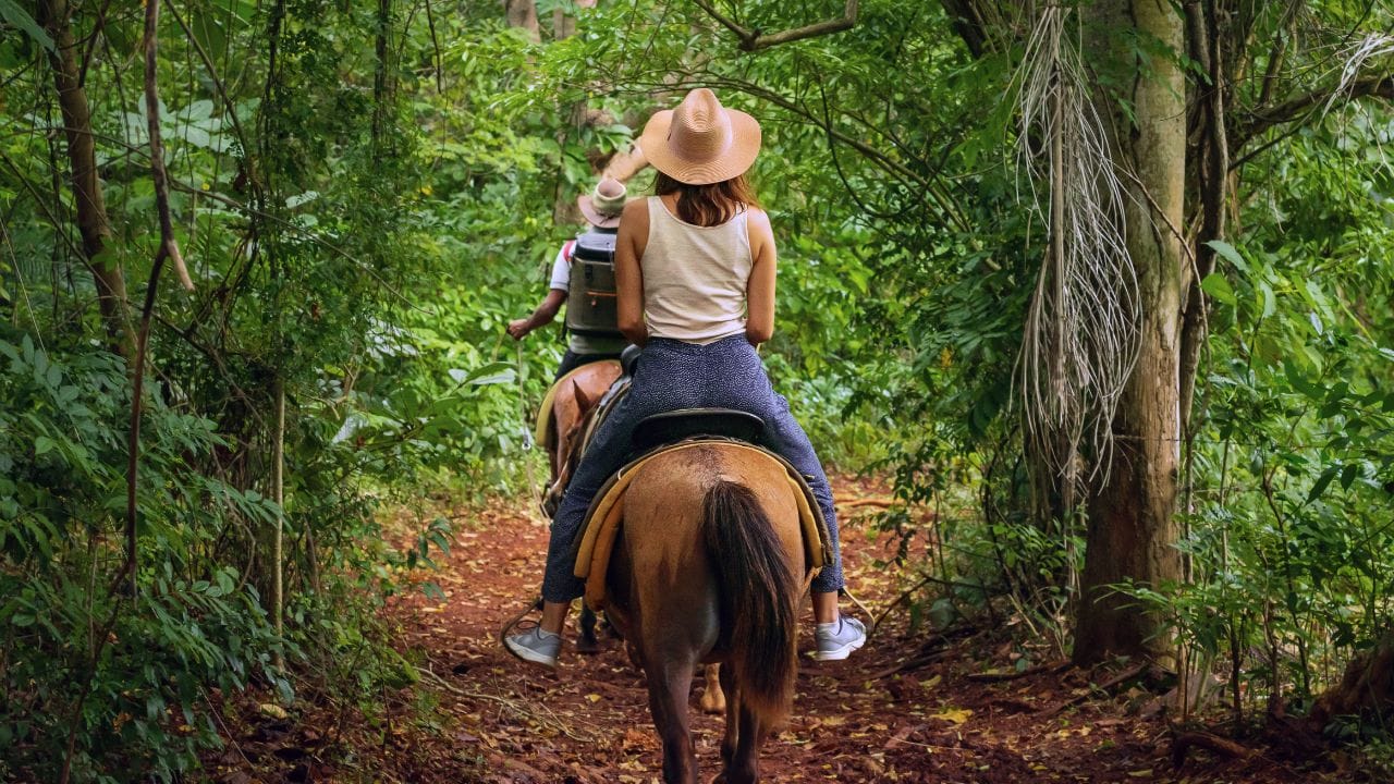 Grassy Island Equestrian and MTB Trail