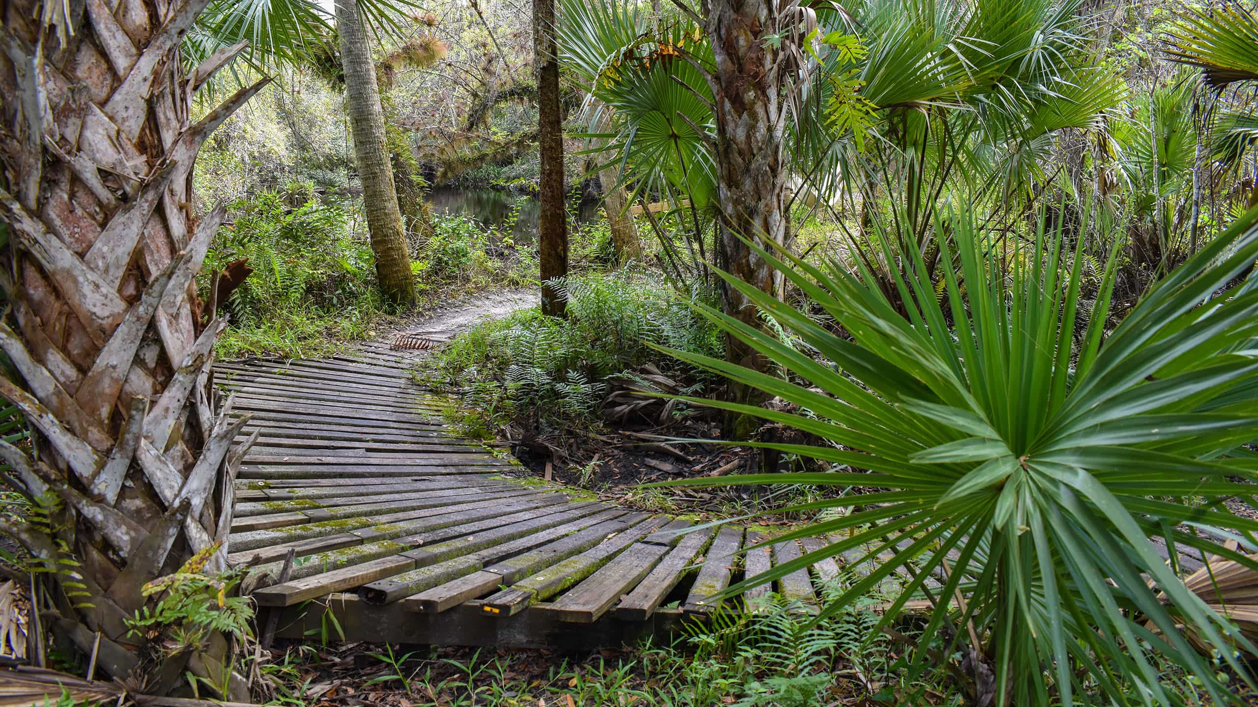Halpatiokee Park River Trail