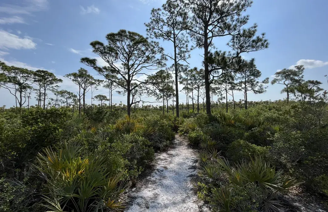 Seabranch Preserve North Loop