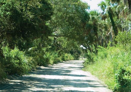 Historic Jungle Trail Vero Beach FL