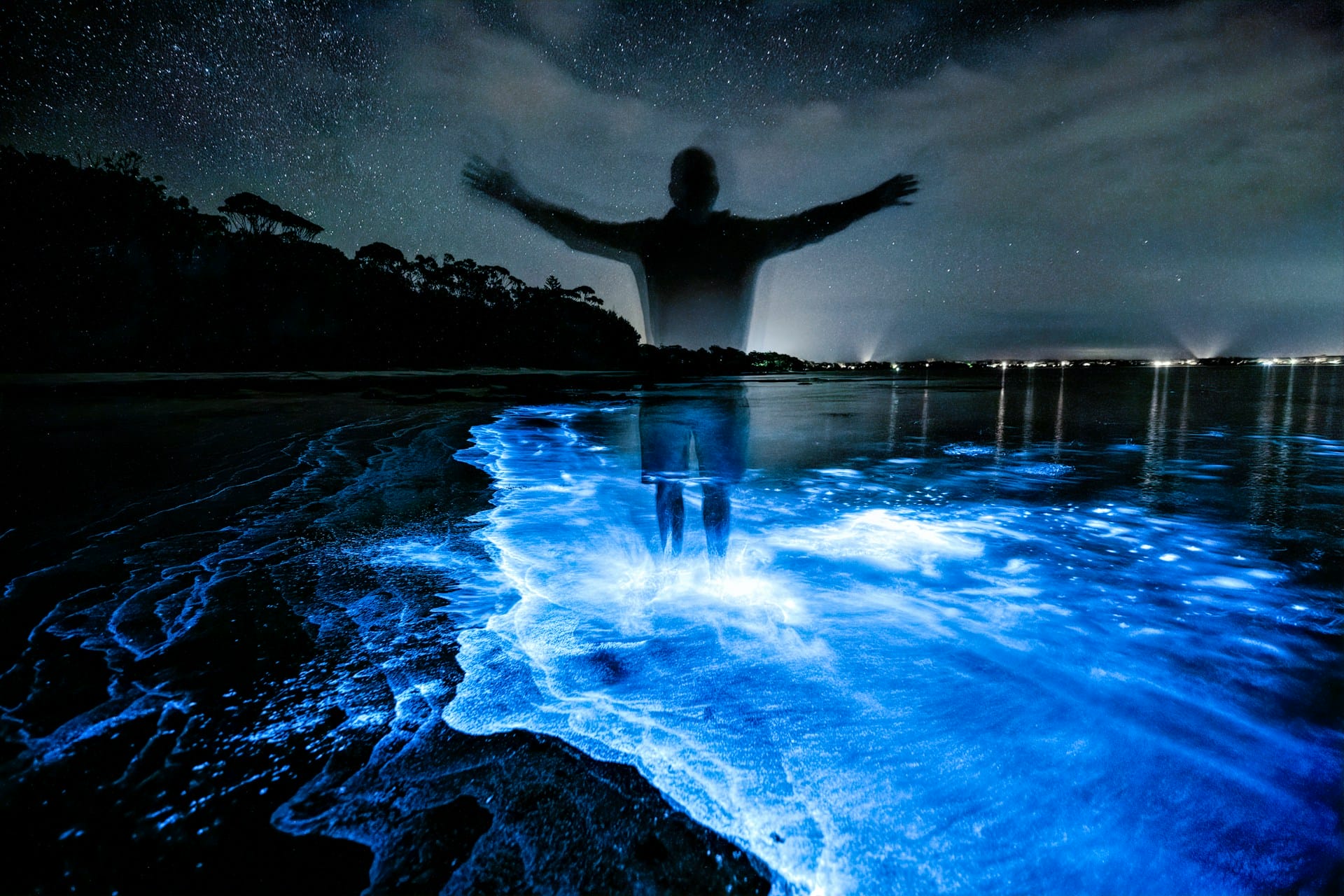 bioluminescence kayaking