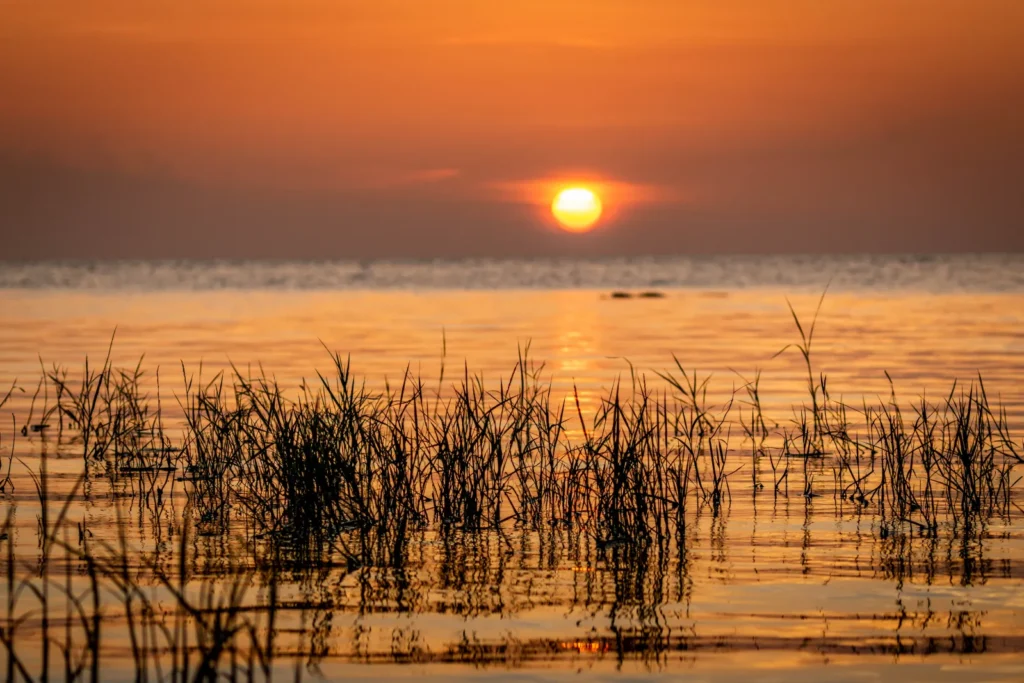 Lake Okeechobee Sunset