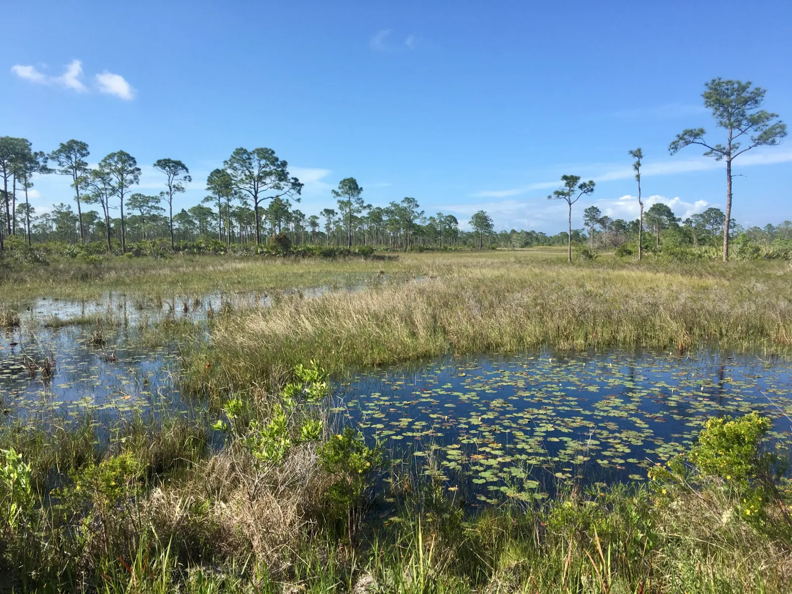 Jonathan Dickinson State Park - Image 11 (March 26, 2026)