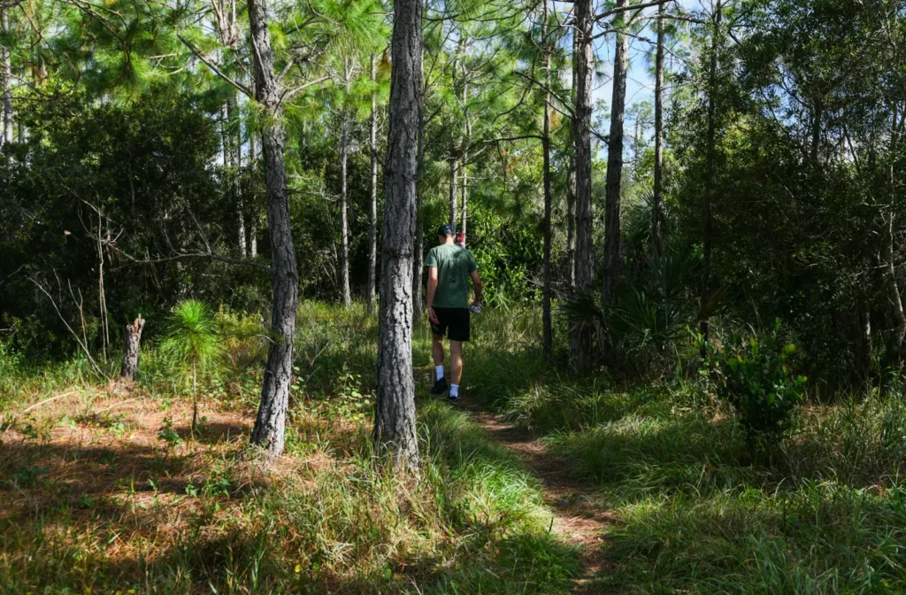 hiking florida parks trails