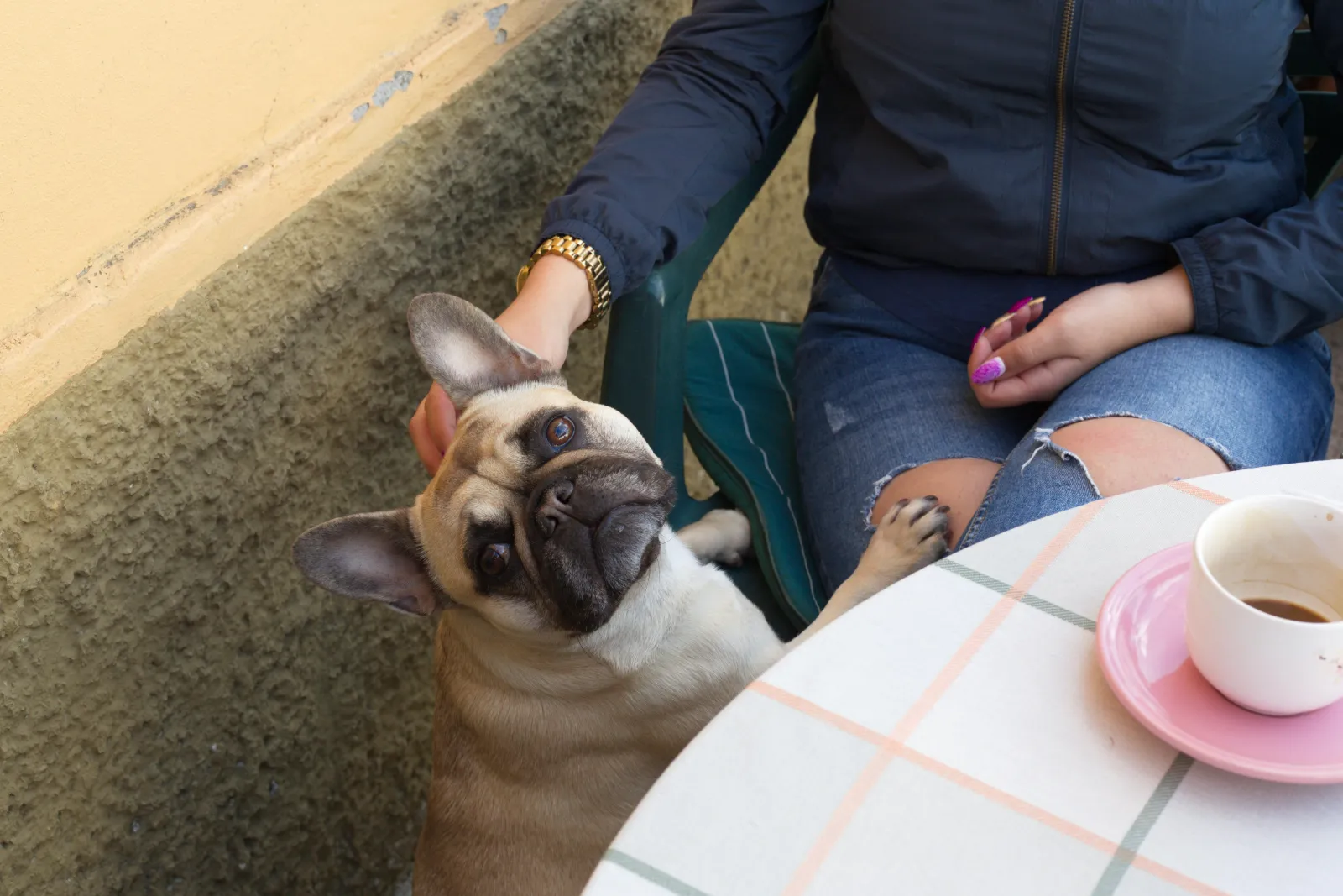Dog Friendly Restaurants in Fort Pierce, FL