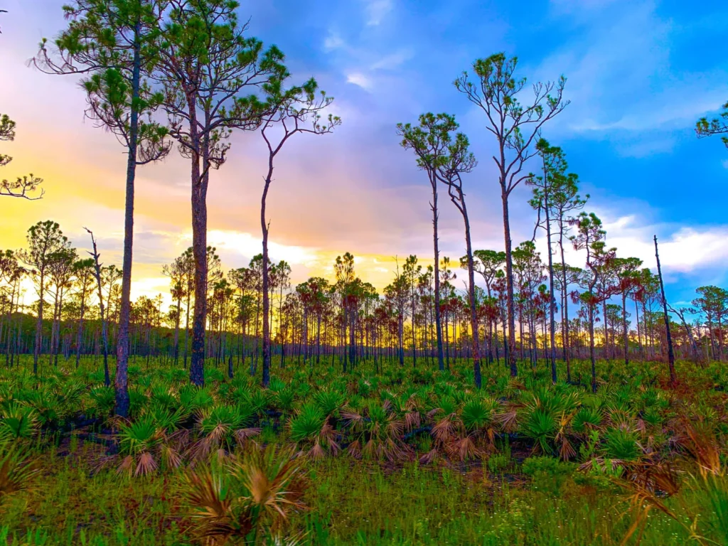 Jonathan Dickinson State Park
