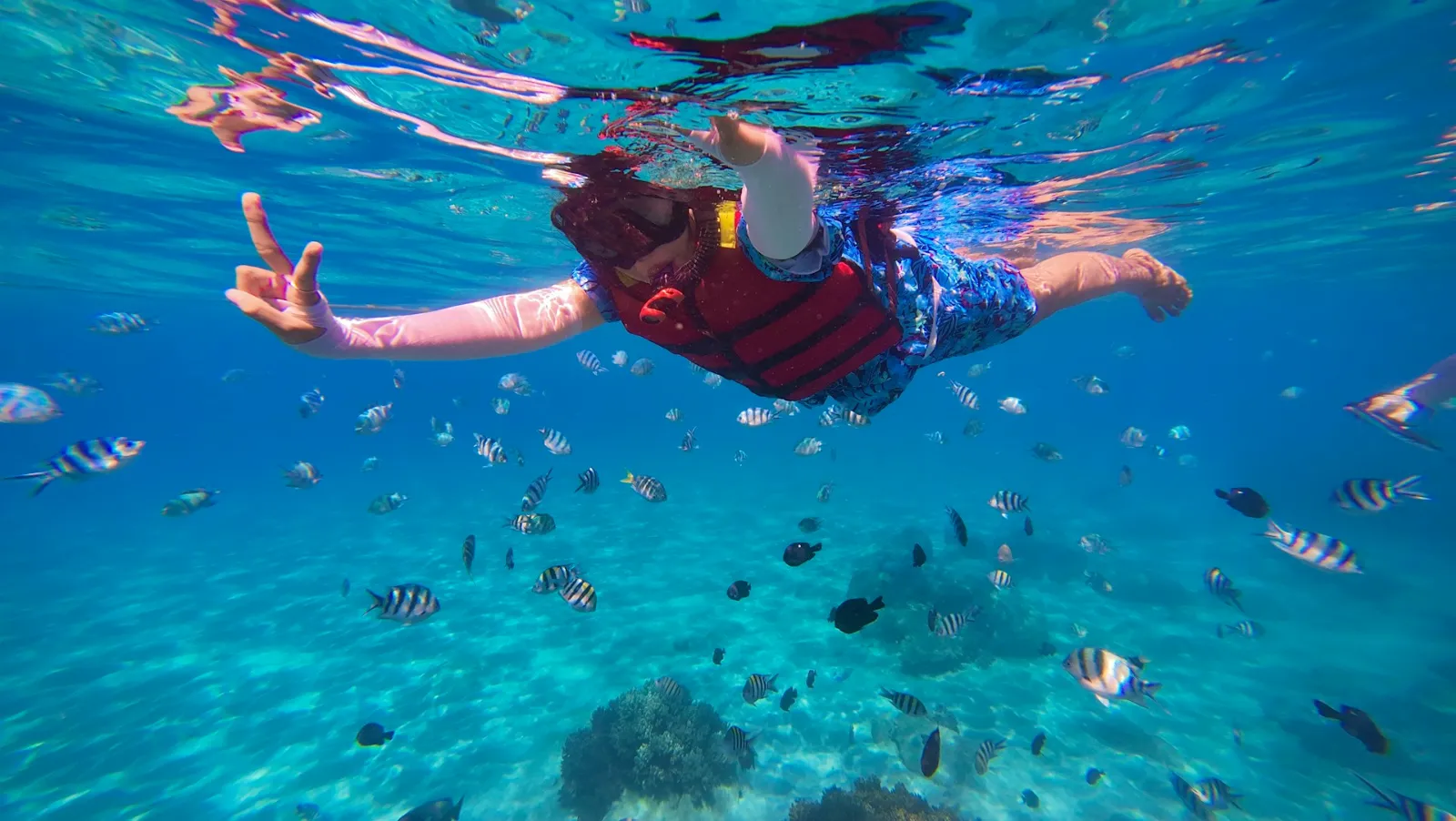 Treasure Coast Snorkeling: Ultimate Guide - Image 01 (May 13, 2026)