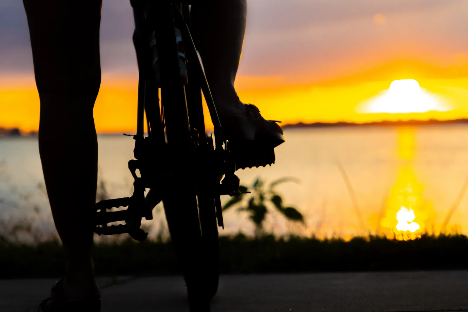 Bike Trails in Stuart FL: The Best Routes for Your Ride - Image 02 (August 24, 2026)