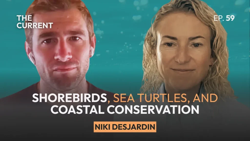 niki desjardin jensen beach podcast