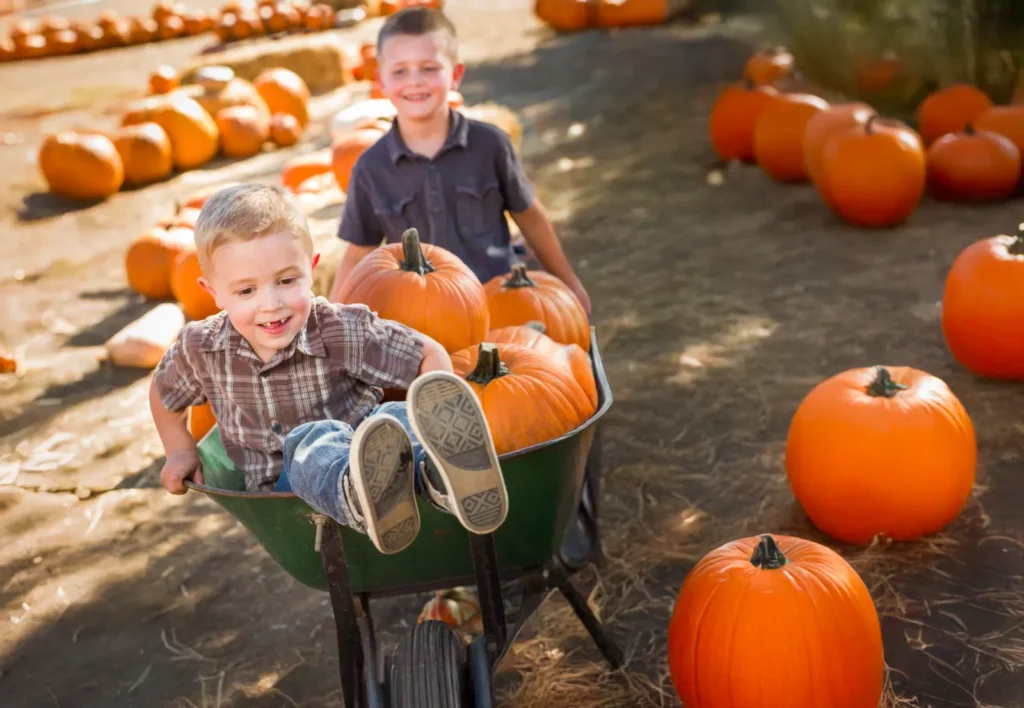 Pumpkin Patches on the Treasure Coast (2026 Guide) - Image 01 (September 23, 2026)
